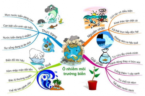 [KNTT] Trắc nghiệm tin học 6 bài 10: Sơ đồ tư duy